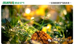 步入秋天，空氣凈化器不可或缺